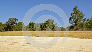 Sunny landscape with dry soil and grass and pine trees, Portalegre, Portugal photo