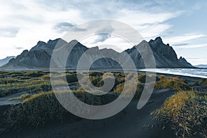 Sunny landscape of Iceland. Gorgeous view on Stokksnes cape and Vestrahorn Mountain with black sand with grass on