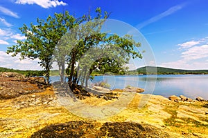 Sunny landscape with lake photo
