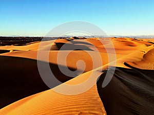 Sunny landscape of Ramlat al Wahiba desert in Oman