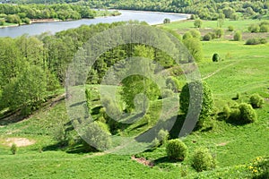 Sunny landscape with a river.