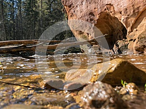 sunny landscape with sandstone cliff on river bank, fast flowing river water