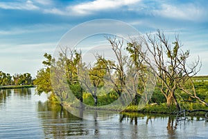 Parana River, San Nicolas, Argentina photo
