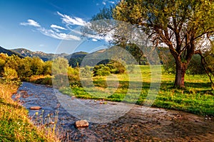 Sunny landscape with stream running from mountains.