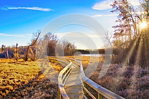 Sunny Late-Autumn Landscape of Boardwalk through Marsh