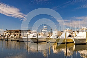 Sunny Marina-3