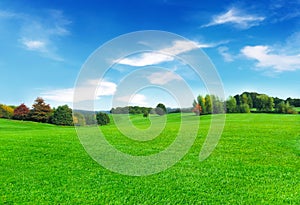 Sunny meadow and blue sky