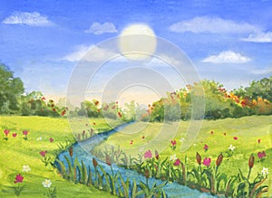 Sunny meadow landscape grass, flowers, little river, trees, watercolor hand drawn illustration