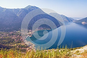 Sunny Mediterranean landscape.  Montenegro. View of  Bay of Kotor  and Risan town from a mountain slope