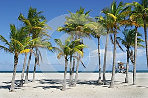 Sunny Miami Beach
