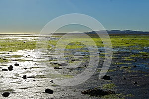 Sunny morning Dublin Bay in Sandymount Irishtown Nature Park