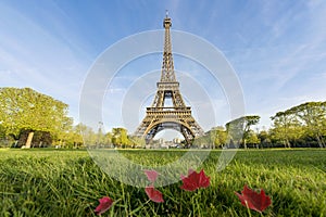 Sunny morning and Eiffel Tower, Paris, France