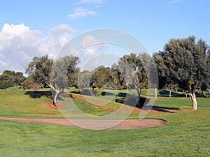 Sunny Morning on a Golf Course