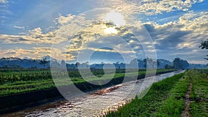 Sunny morning inthe rice field with irrigation folowing inthe line with the clouds blown by the wind