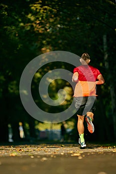 Sunny morning outdoor training. Back view. Muscular, athletic man in sportswear, runner in motion, running in city park