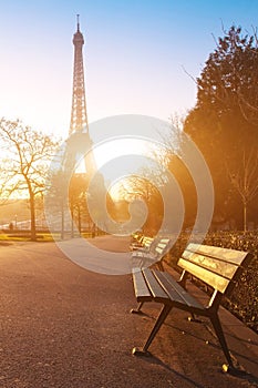Sunny morning in Paris