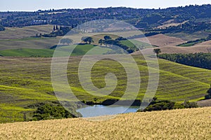 Sunny morning in Val Dâ€™Orcia, Siena, showcasing the natural beauty of the countryside
