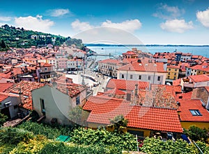 Sunny morning view of old town Piran. Splendid spring morning on Adriatic Sea. Beautiful cityscape of Slovenia, Europe. Traveling