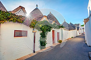 Sunny morning view of strret with trullo trulli - traditional Apulian dry stone hut with a conical roof. Picturesque spring cit photo