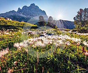 Sunny morning view of western slope of Tre Cime di Lavaredo mpountain peaks. Bright summer scene of Dolomiti Alps, South Tyrol, It