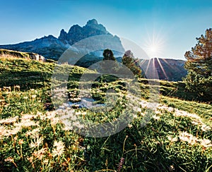 Sunny morning view of western slope of Tre Cime di Lavaredo mpountain peaks. Superb summer scene of Dolomiti Alps, South Tyrol, It