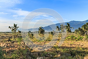 A sunny morning at the village petobo lost due to liquefaction