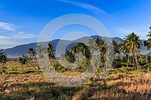 A sunny morning at the village petobo lost due to liquefaction