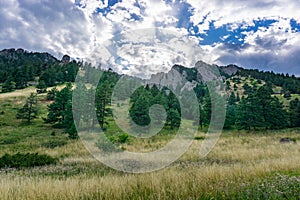 Sunny mountain meadow Boulder Colorado