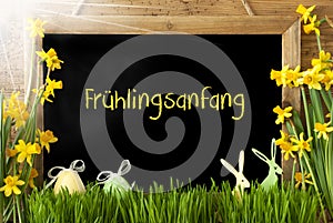 Sunny Narcissus, Easter Egg, Bunny, Fruehlingsanfang Means Beginning Of Spring