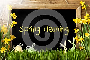 Sunny Narcissus, Easter Egg, Bunny, Text Spring Cleaning