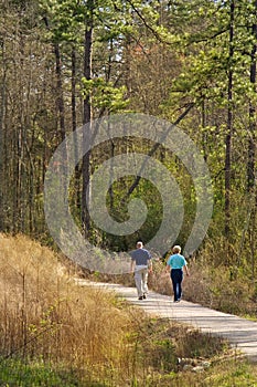 Sunny nature walk trail