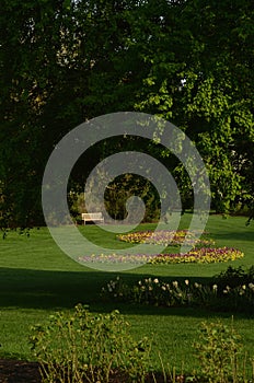 Sunny park with flower garden, trees, bench