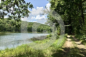 Sunny Path along Lake