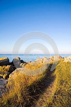 Sunny path of the coast