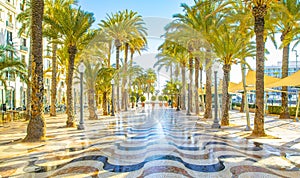 Sunny promenade in Alicante, Spain