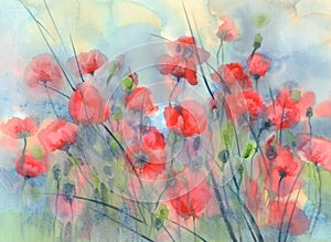 Sunny and red poppy field watercolor background