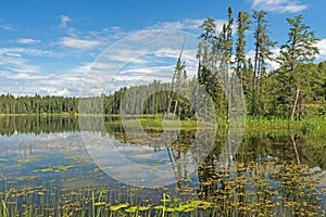 Sunny Reflections on a Wilderness Lake