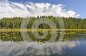 Sunny Reflections on a Wilderness Lake