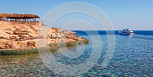 Sunny resort beach with palm tree at the coast of Red Sea in Sharm el Sheikh, Sinai, Egypt, Asia in summer hot. ?oral reef and