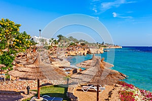 Sunny resort beach with palm tree at the coast shore of Red Sea in Sharm el Sheikh, Sinai, Egypt, Asia in summer hot. Bright sunny