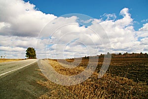 Sunny Road Blue Sky Yellow Grass Rural Countryside Wallpaper Field and Meadows Agriculture Harvest  Farm Landscape