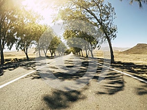 Sunny road with desert and nature around - long asphalt straight way - travel and drive destination concept  trees and shadow on