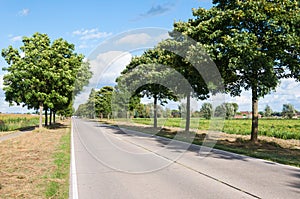 Sunny road in a Dutch rural area