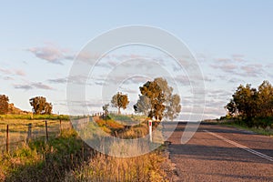 Sunny road in rural countryside