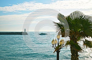 Sunny road on a sea with lantern and lighthouse. Green palm leaves. Summer time vacation travel. Blue sly sun shine.