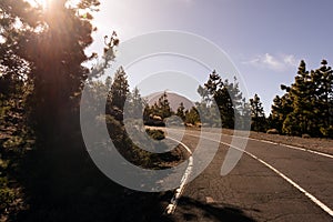 Sunny road at Teide National park on Tenerife island, Spain