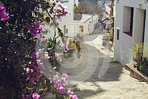 Sunny road to San Joan Sunday hippie market on Ibiza, Spain