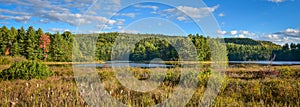 Sunny roadside view of marsh and woodland wilderness country. Warm summer day in boreal forest wilderness in Ontario Canada.