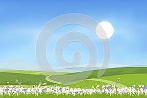 Sunny rural landscape of spring field with hills and blue sky and fluffy clous. Summer countryside with green mountains, meadows,