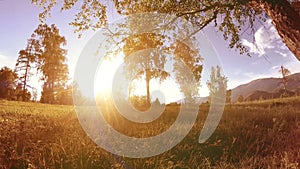 Sunny rural meadow at mountain landscape with green grass, trees and sun rays. Diagonal movement on motorised slider